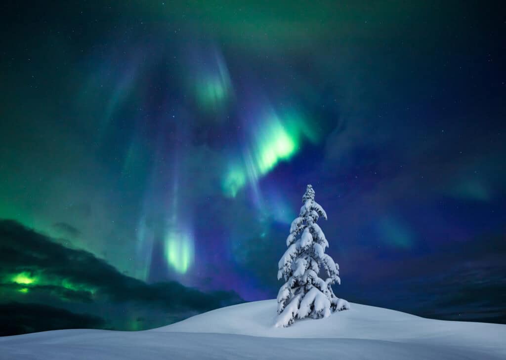 Aurora Sea Christmas Magic