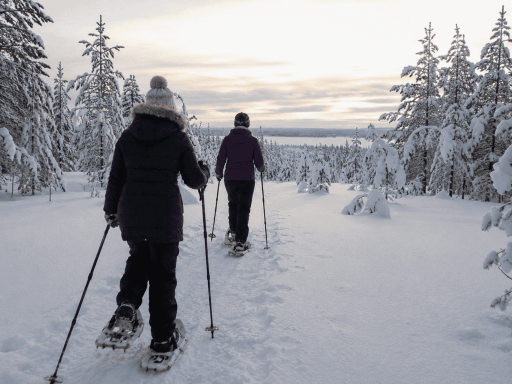 Arctic Snowshoe Adventure
